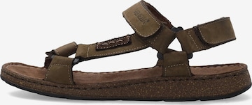 VENEZIA Sandals in Green: front