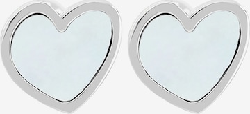 Akzent Earrings 'Sarang, langlebig' in Silver: front