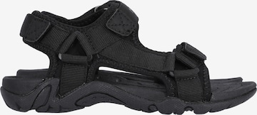 Mols Open schoenen 'Arbonon' in Zwart
