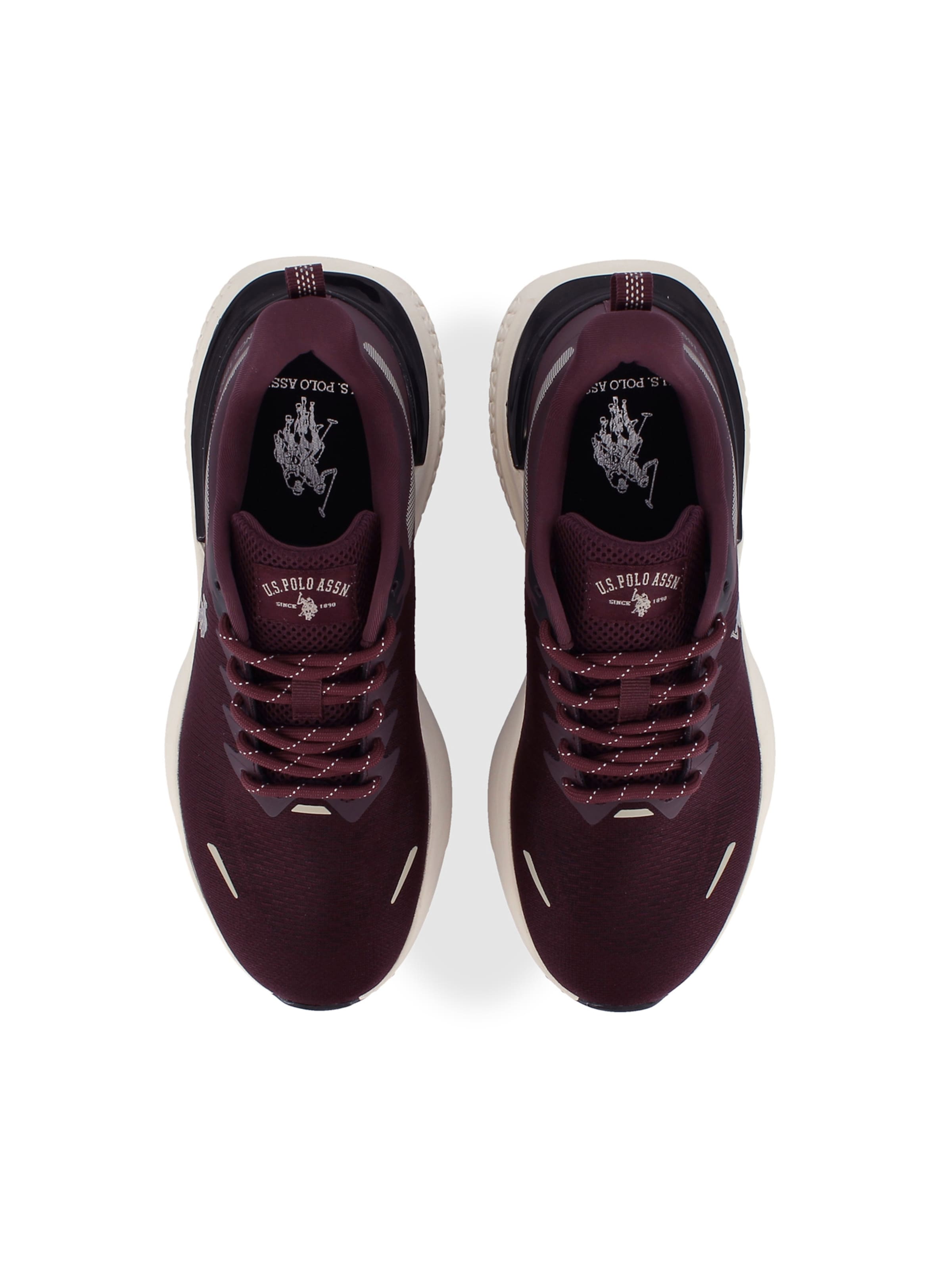 Sneaker bassa 'Spritz' di US POLO ASSN. in lilla