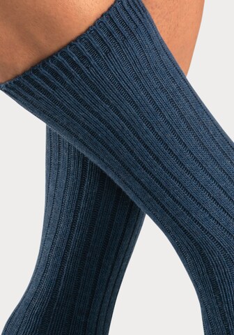 H.I.S Socks in Blue