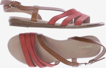 Graceland Sandals & High-Heeled Sandals in 40 in Red: front