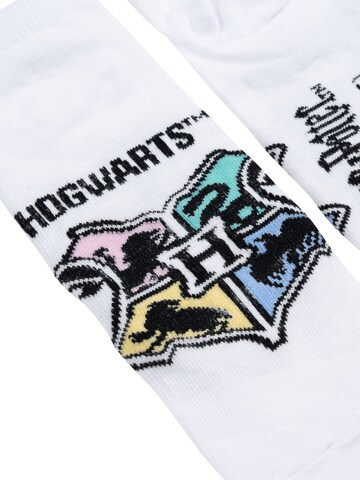 Harry Potter Socks 'Hedwig Hogwarts' in Mixed colors