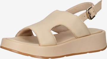 ILC Sandalen met riem in Beige: voorkant