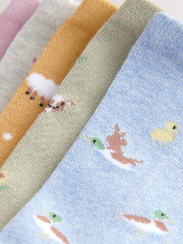 Next Socks in Mixed colours