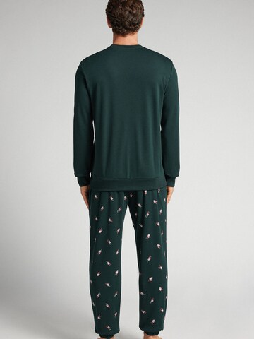 INTIMISSIMI Pyjama 'Brontolo' in Grün