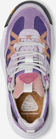 Baskets basses 'BACK COUNTRY UNI 2 WATERPROOF' Flower Mountain en violet : devant