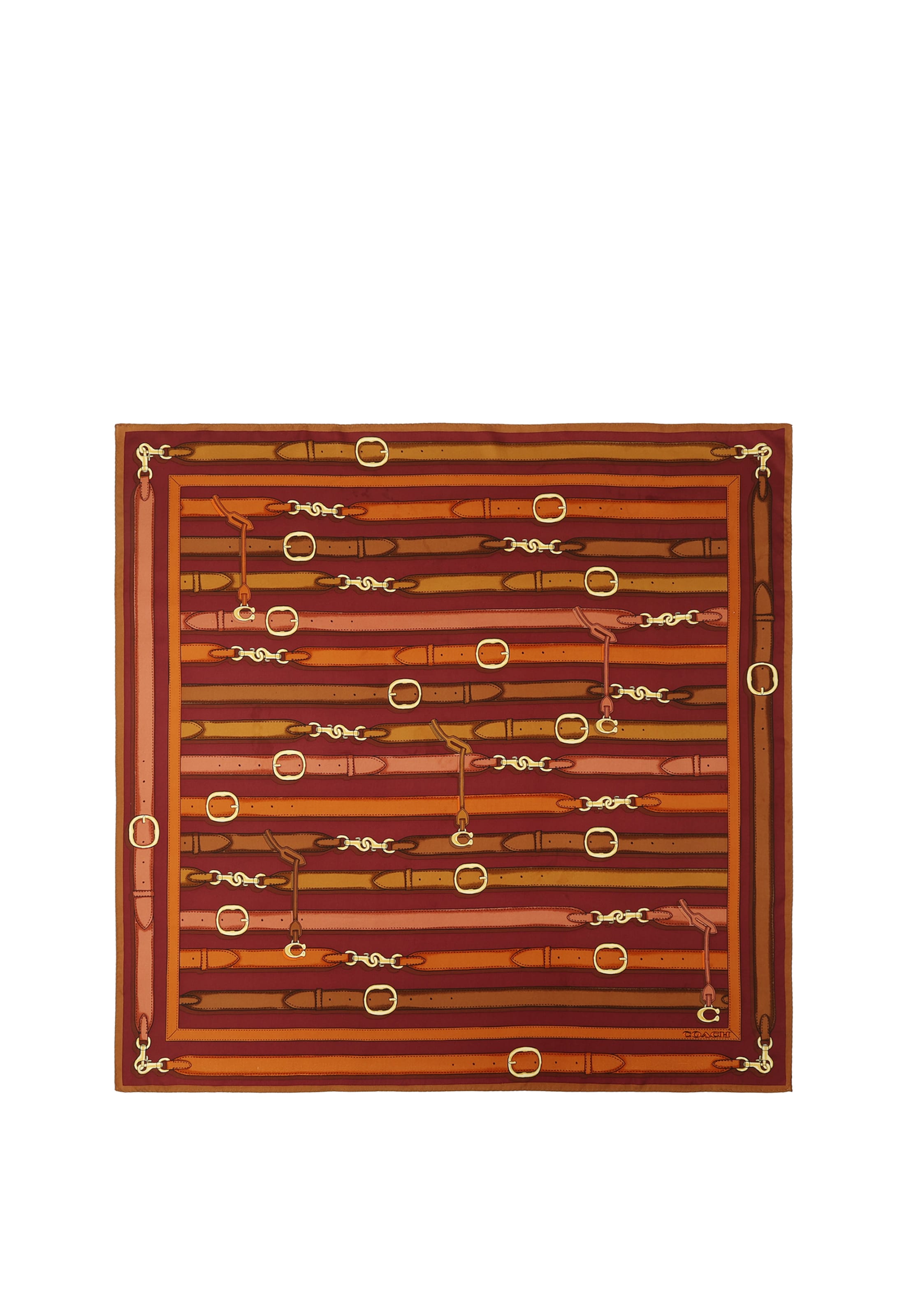Foulard COACH en marron : devant
