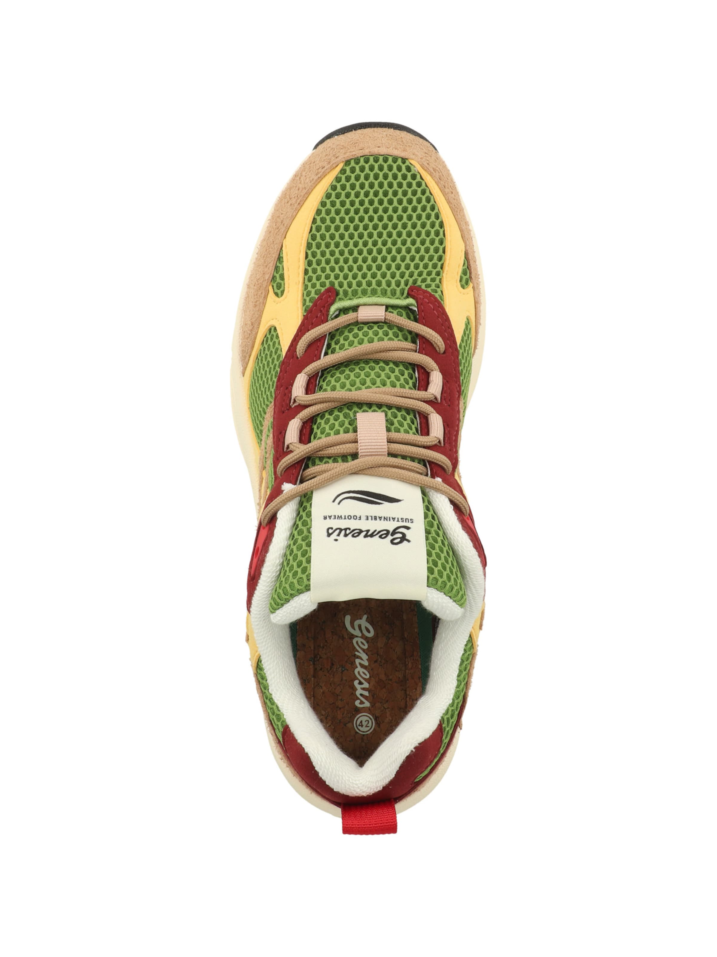Sneaker bassa di GENESIS in colori misti: superiore