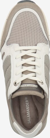 SALAMANDER Sneaker in Beige