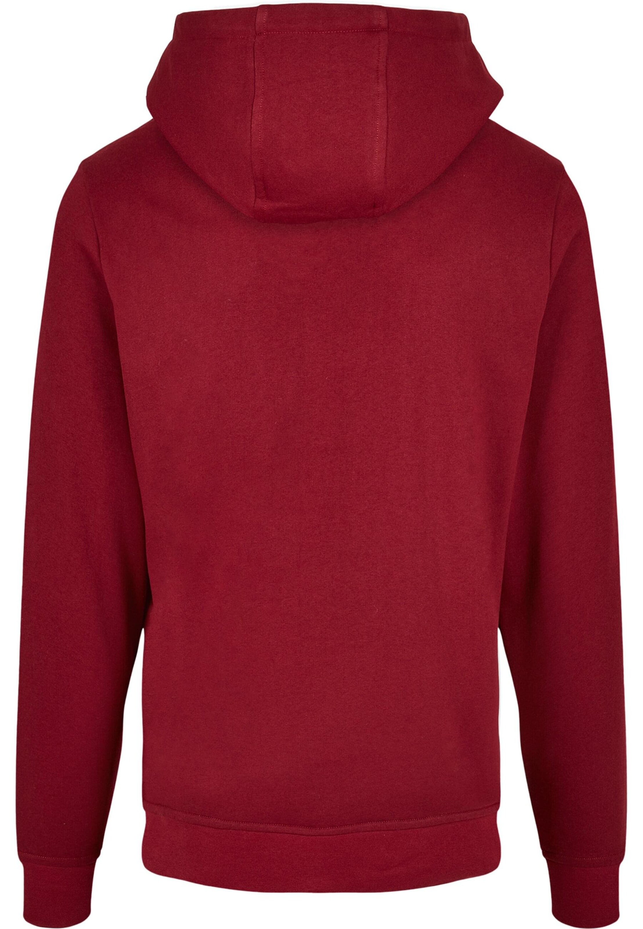 ABSOLUTE CULT Sweatshirt 'Harry Potter - Buckbeak' in Rood