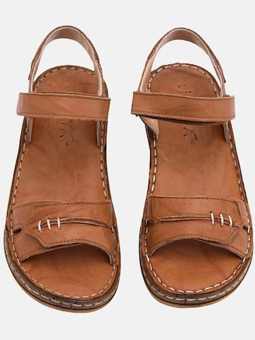 Limoya Sandals 'Damensandalen' in Brown