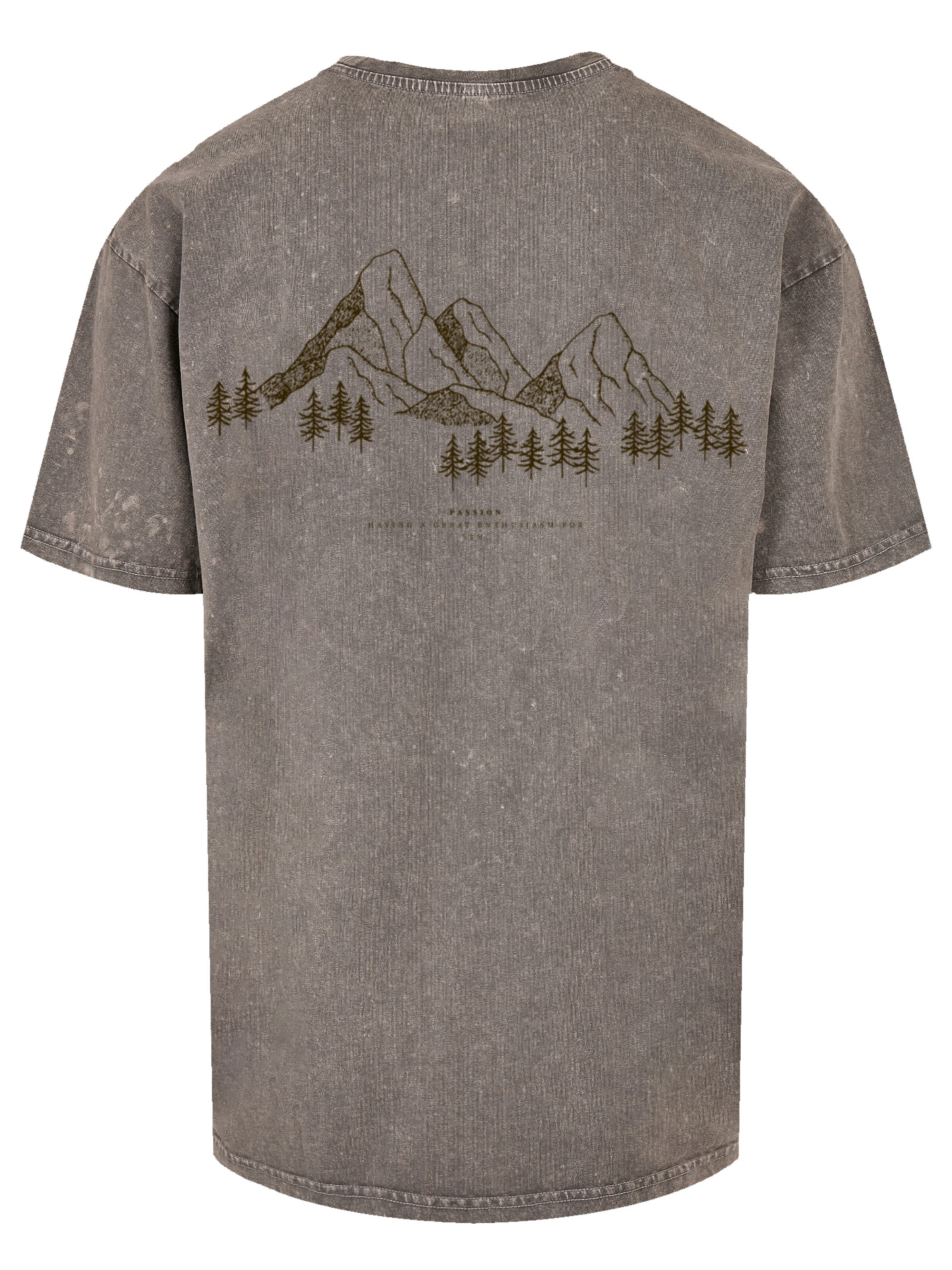 F4NT4STIC Shirt 'Mountain Berg' in Grey