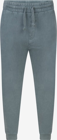 Young Poets Tapered Pants 'Maleo' in Blue: front