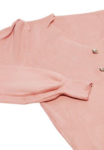 caspio Sweater in Pink