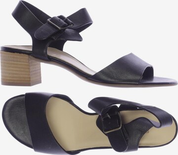 Paul Green Sandals & High-Heeled Sandals in 39,5 in Black: front