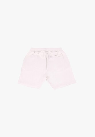Dropsize Regular Pants in Grey