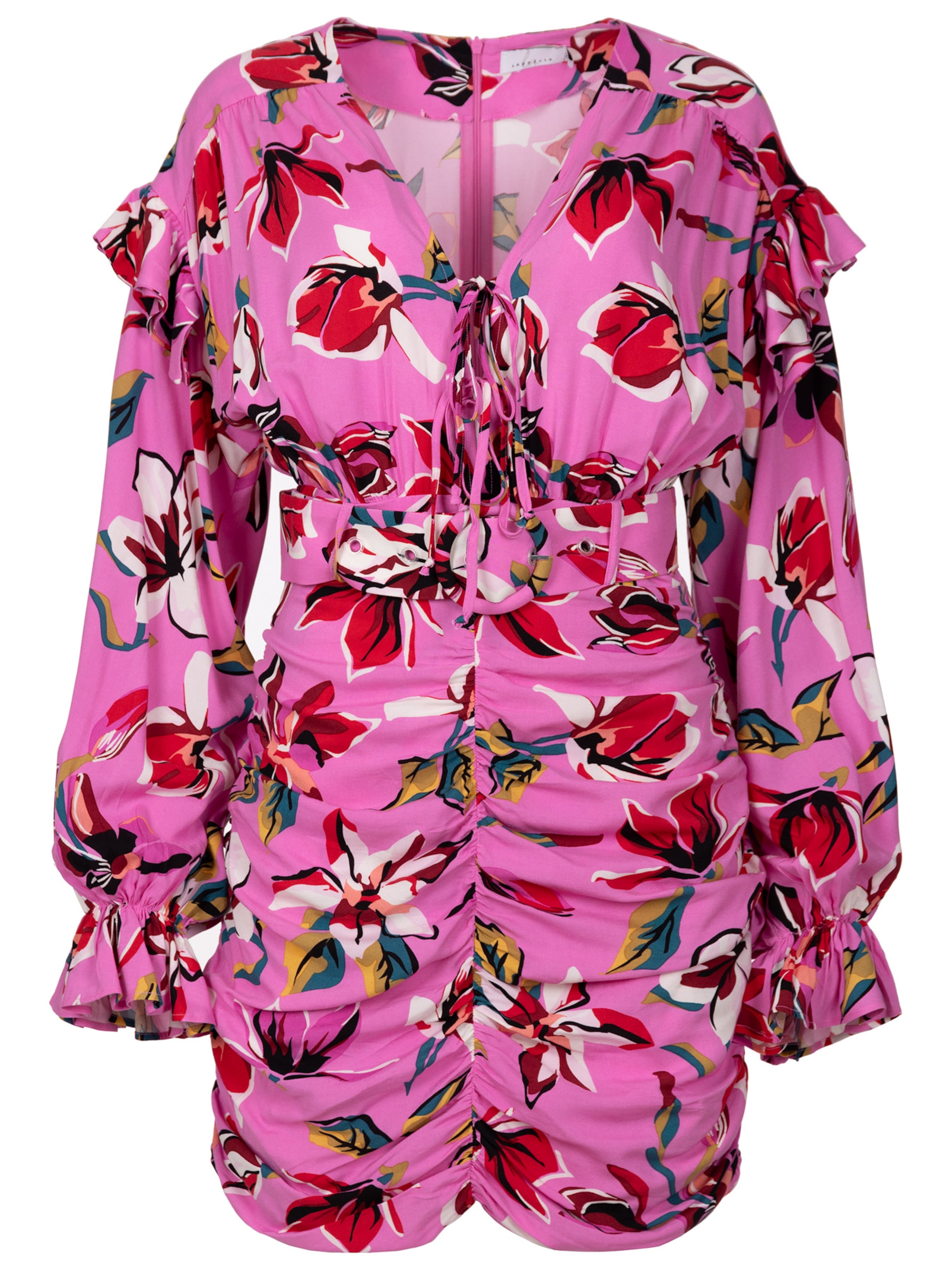 Laurella Dress 'Laurella' in Pink: front