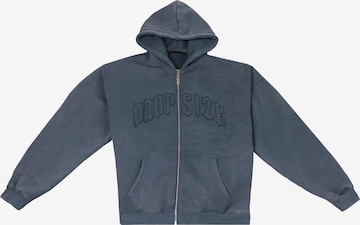 Dropsize Sweatjacke in Grau: Vorderseite
