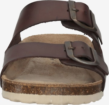 COSMOS COMFORT Mules in Brown