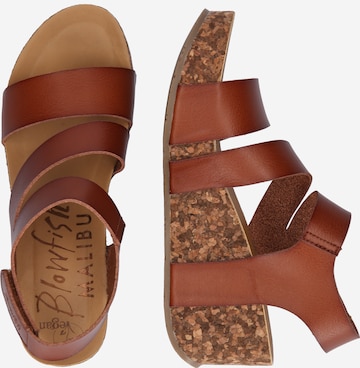 Blowfish Malibu Sandals 'Leelee' in Brown