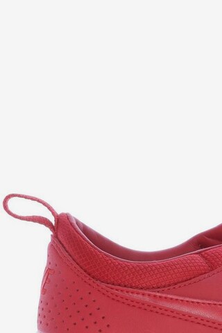 NIKE Sneakers & Trainers in 39,5 in Red
