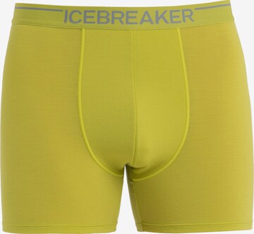 ICEBREAKER Sportovní spodní prádlo 'Anatomica' – žlutá: přední strana