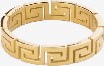 Akitsune Ring 'Argius' in Gold: front