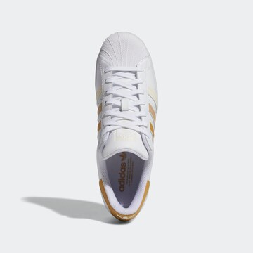 ADIDAS ORIGINALS - Zapatillas deportivas bajas 'Superstar' en blanco