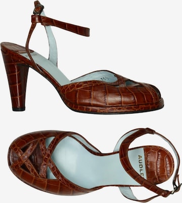 AUDLEY Sandals & High-Heeled Sandals in 35,5 in Brown: front