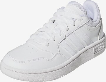 ADIDAS ORIGINALS Sneakers 'Hoops 3.0' in White: front