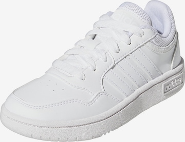 ADIDAS ORIGINALS - Zapatillas deportivas 'Hoops 3.0' en blanco: frente