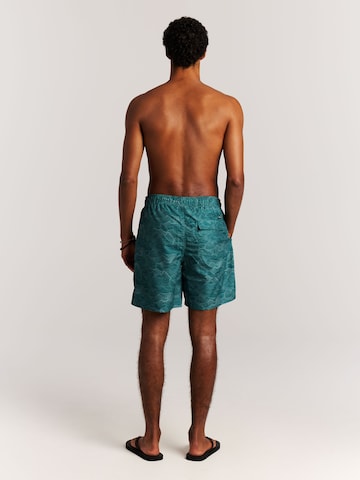 PROTEST Swimming shorts 'PRTAcorn' in Green