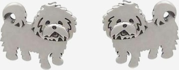 Gemshine Earrings in Silver: front