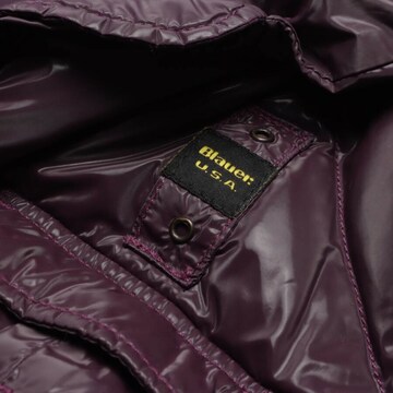 Blauer.USA Jacket & Coat in S in Purple