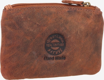 Greenland Nature Case in Brown