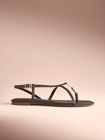 Tongs B by Ted Baker en marron