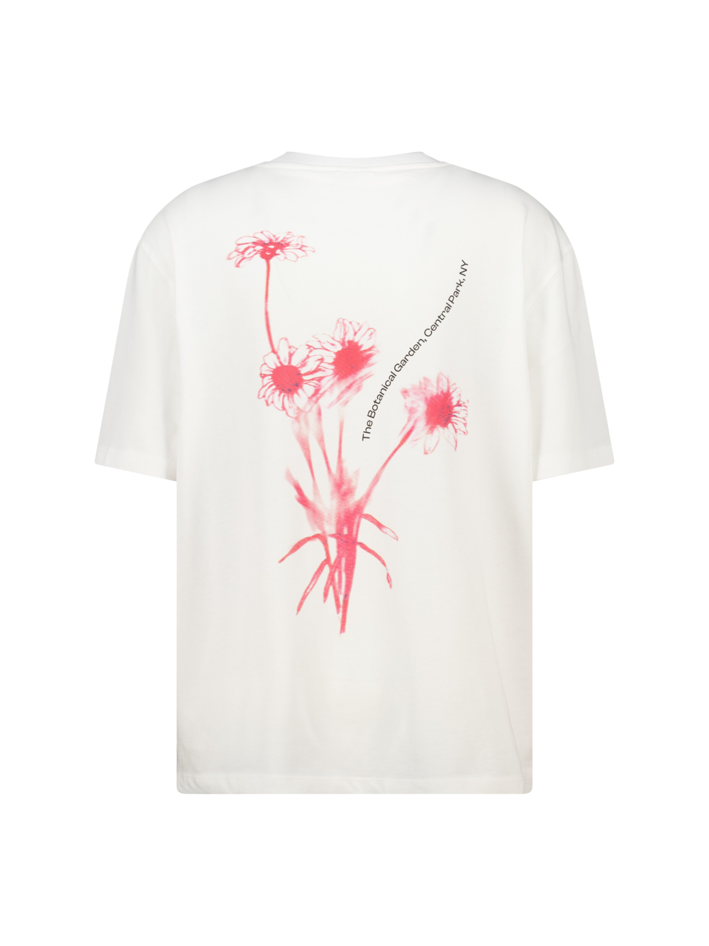 America Today Shirt in Wit: voorkant