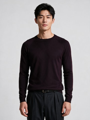 Antioch Slim Fit Pullover in Rot: Vorderseite