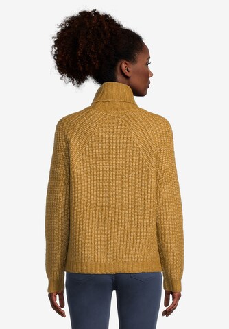 Cartoon Pullover in Braun