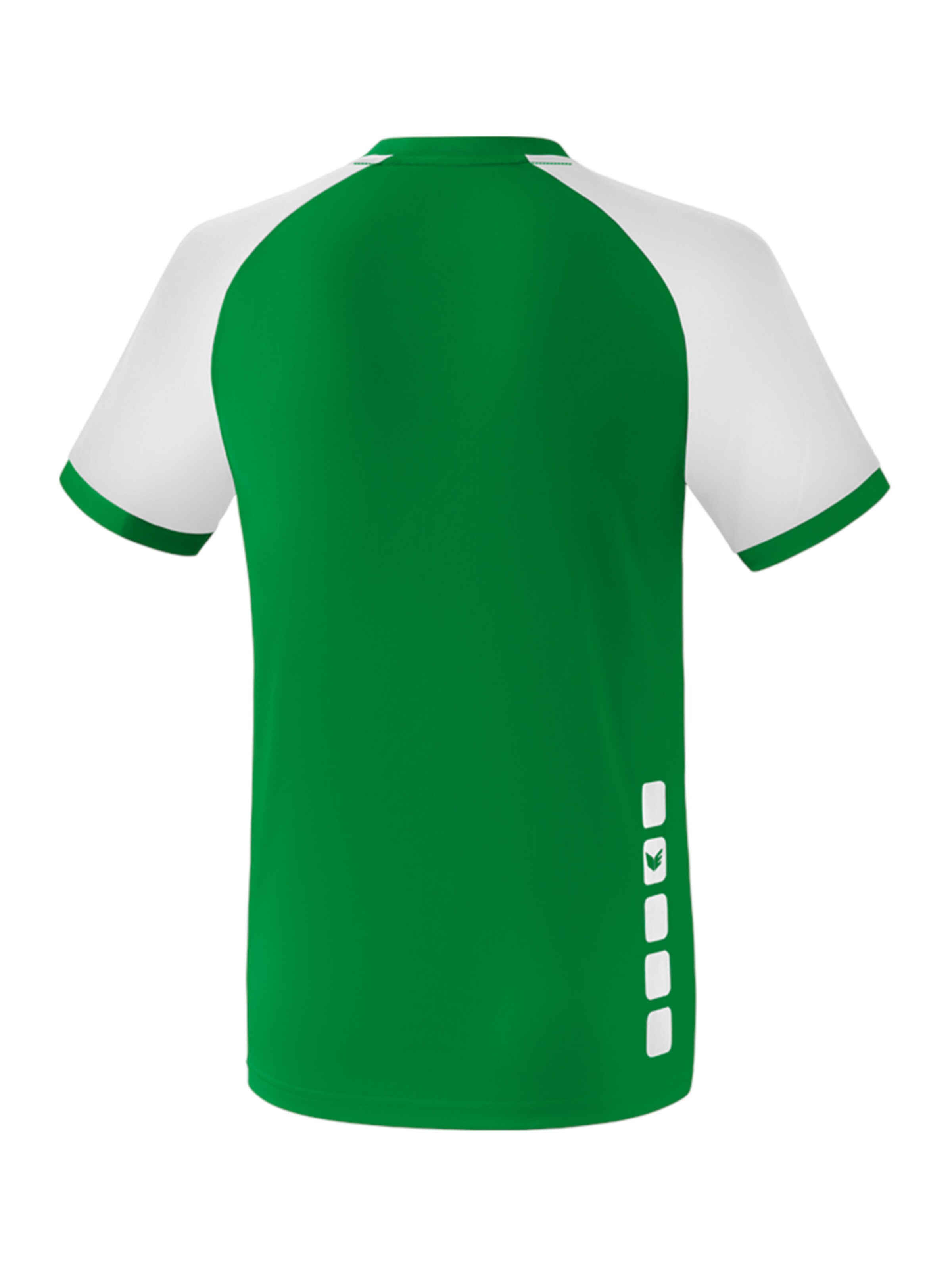 ERIMA Jersey 'Zenari' in Green