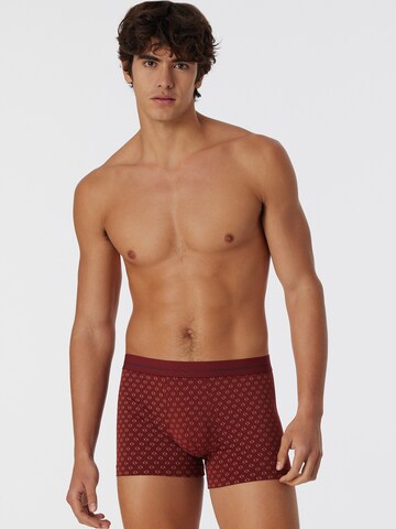 Boxers ' Pure Micro ' SCHIESSER en bronze