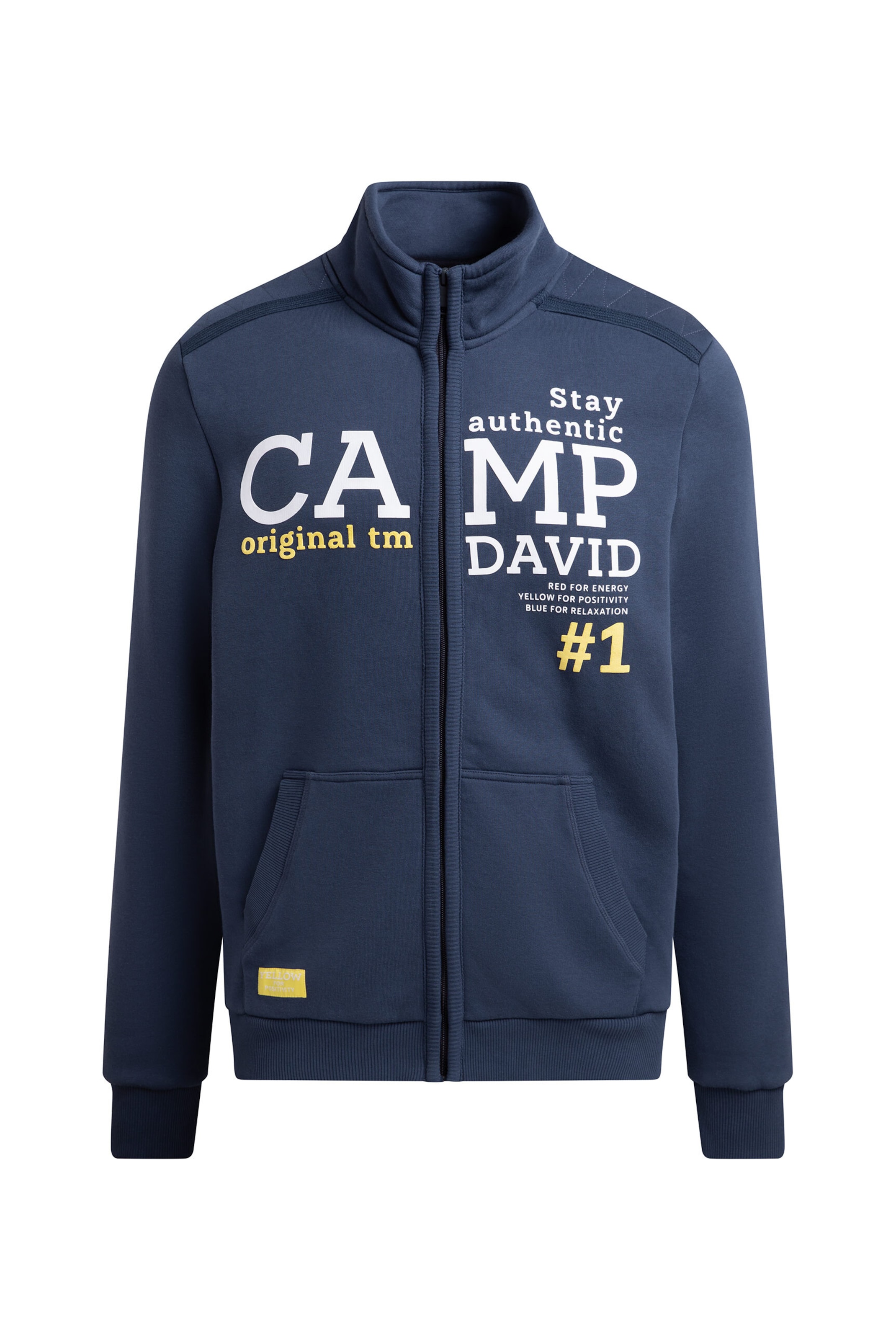 CAMP DAVID Zip-Up Hoodie in Blue: front