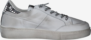 Cetti Sneaker low 'C1302' in Grau