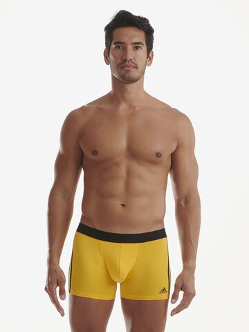 ADIDAS SPORTSWEAR Trunk ' Active Flex Cotton ' in Mischfarben: predná strana