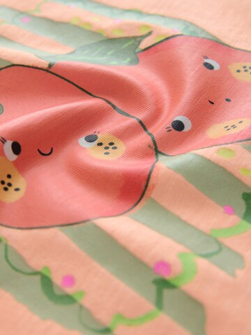 Next T-Shirt in Mischfarben