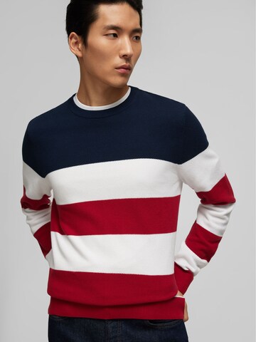 HECHTER PARIS Sweater in Mixed colors