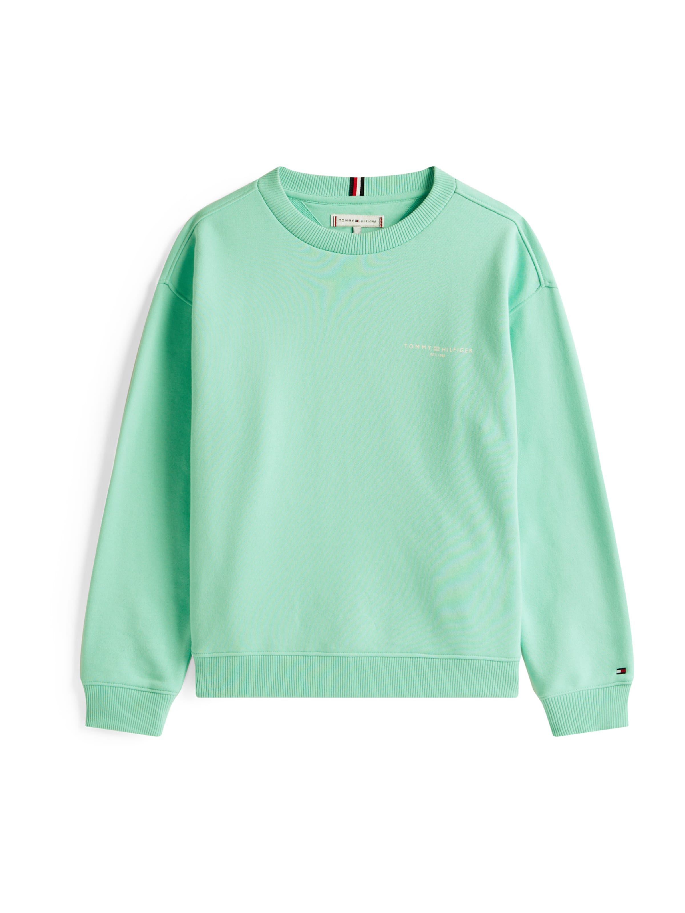 TOMMY HILFIGER Bluza w kolorze zielony: przód