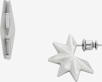 SKAGEN Earrings in Silver: front