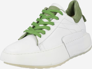A.S.98 حذاء رياضي بلا رقبة 'HIFI' بلون أبيض: الأمام